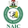 NAIC Logo